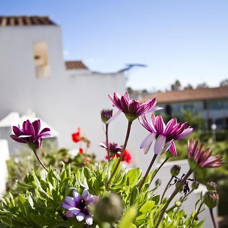 New Punta Prima Grana Planet Costa Dorada Apartment *